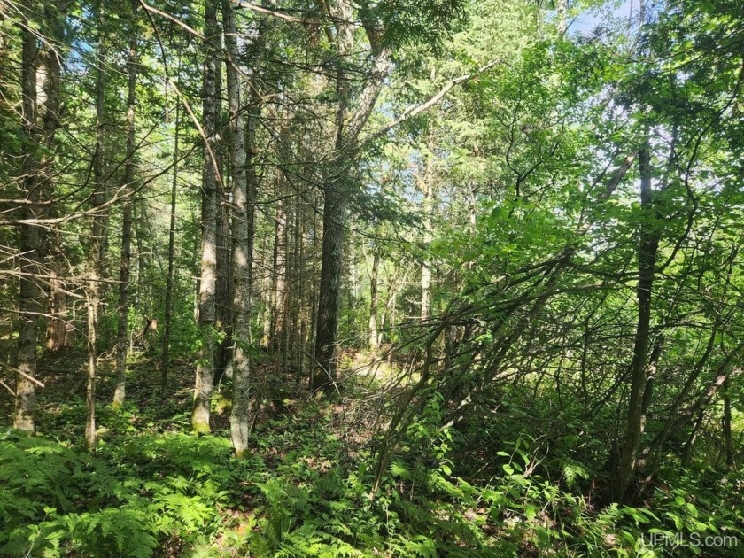 3.6-acre lot with over 800 feet of frontage on Wildwood Lake! A - photo 12
