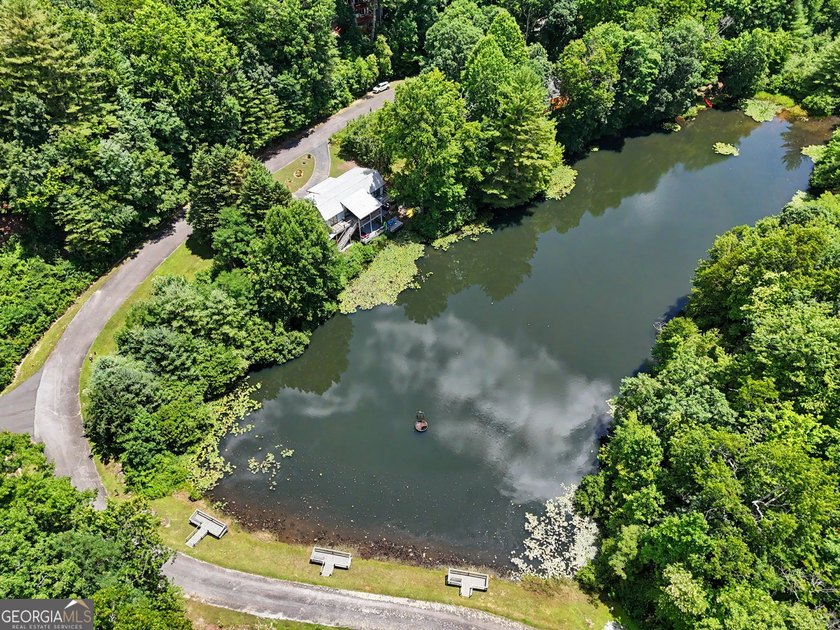 Enjoy true lakefront living at this spacious mountain retreat - photo 8