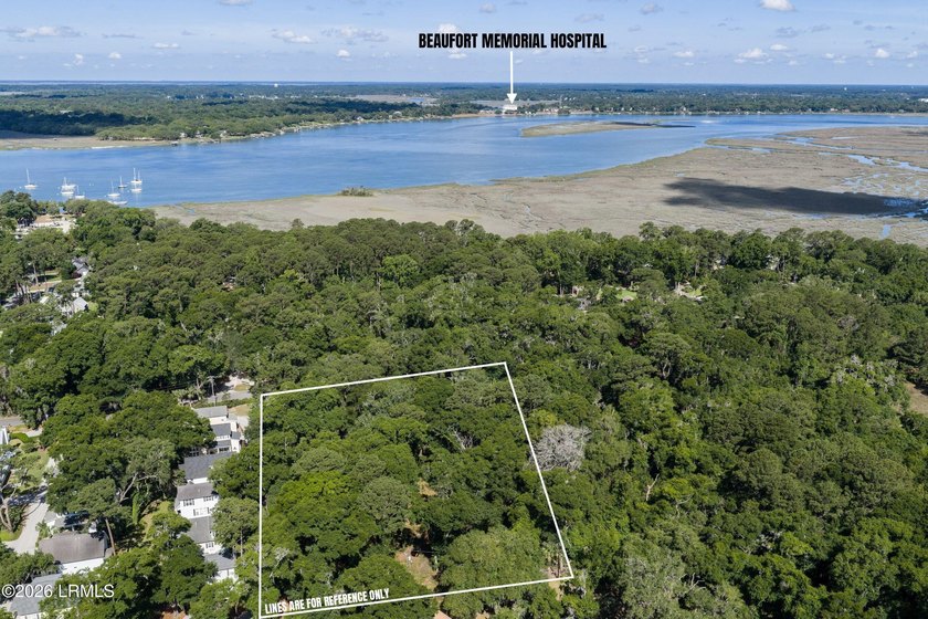 Nestled beneath a canopy of majestic live oaks, this expansive 2 - photo 6