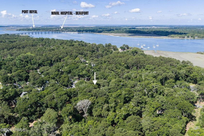 Nestled beneath a canopy of majestic live oaks, this expansive 2 - photo 8