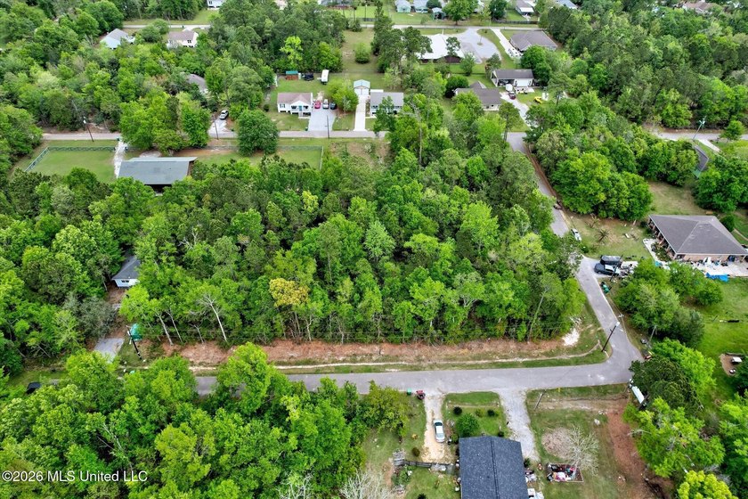 Just under 3/4 acre in Waveland-minutes to Old Town, beaches - photo 14