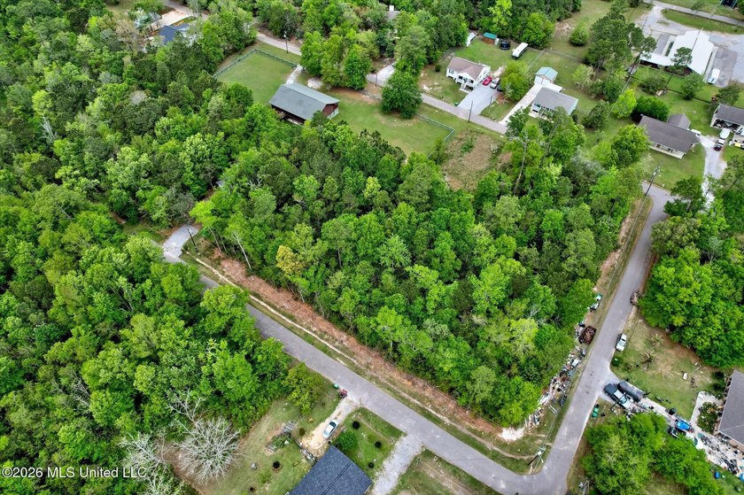 Just under 3/4 acre in Waveland-minutes to Old Town, beaches - photo 18