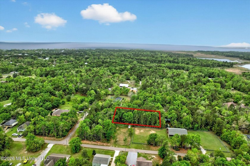 Just under 3/4 acre in Waveland-minutes to Old Town, beaches - photo 19