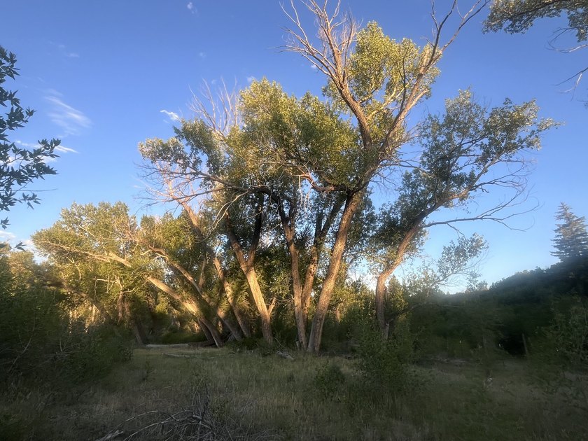 Discover 110 acres along the scenic Brazos River with @3,000 - photo 3