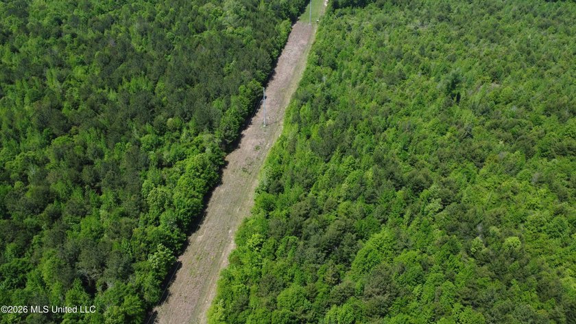 255+/- Acres | Hunting &amp; Recreation Tract | Braxton, MS If - photo 11
