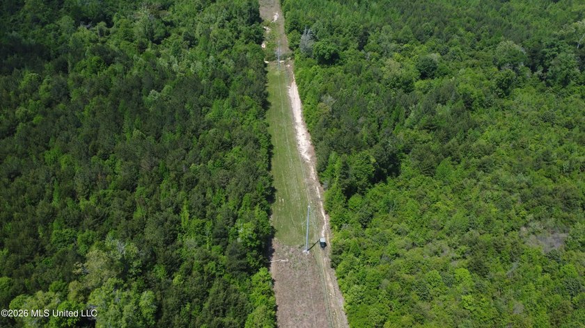 255+/- Acres | Hunting &amp; Recreation Tract | Braxton, MS If - photo 12