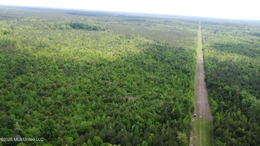 255+/- Acres | Hunting &amp; Recreation Tract | Braxton, MS If - photo 14