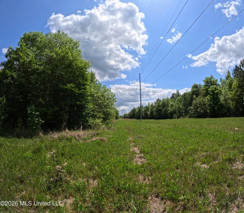 255+/- Acres | Hunting &amp; Recreation Tract | Braxton, MS If - photo 16