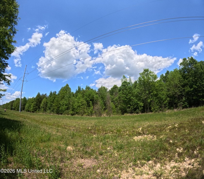 255+/- Acres | Hunting &amp; Recreation Tract | Braxton, MS If - photo 20