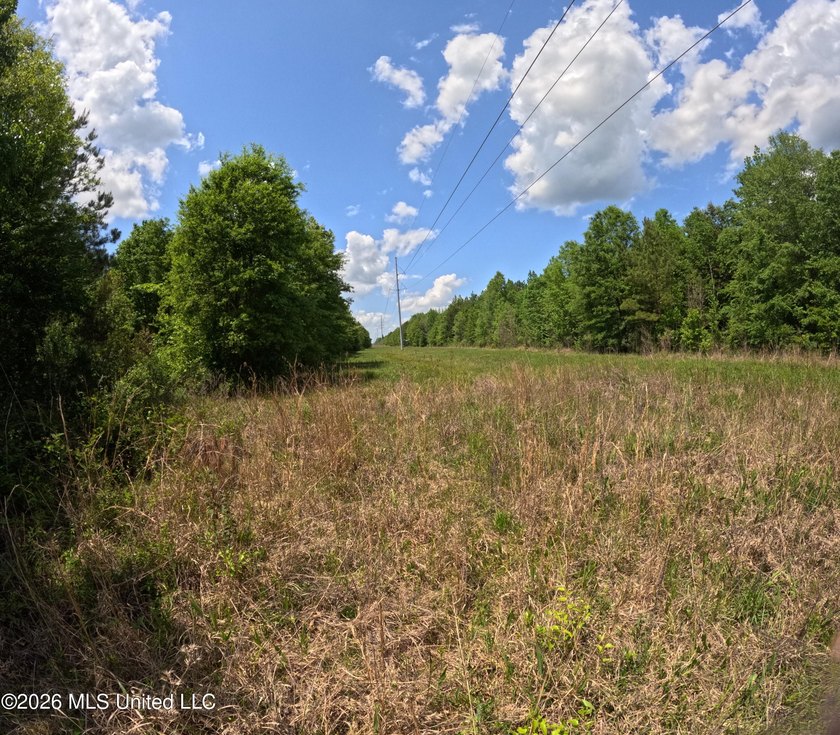 255+/- Acres | Hunting &amp; Recreation Tract | Braxton, MS If - photo 21