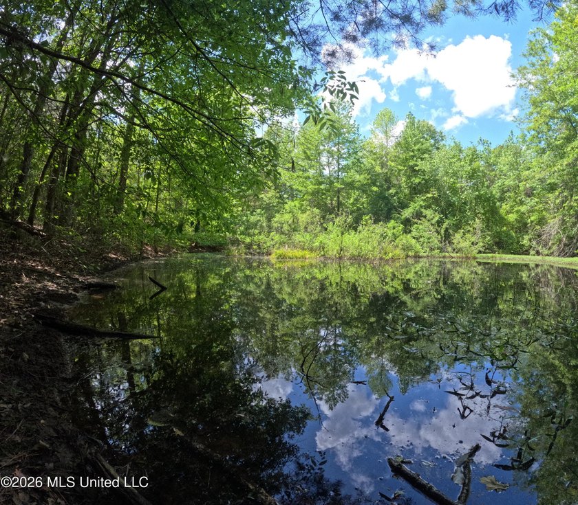 255+/- Acres | Hunting &amp; Recreation Tract | Braxton, MS If - photo 23