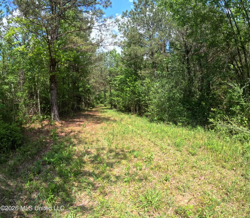255+/- Acres | Hunting &amp; Recreation Tract | Braxton, MS If - photo 24