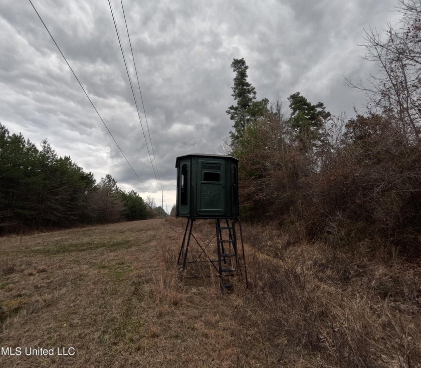 255+/- Acres | Hunting &amp; Recreation Tract | Braxton, MS If - photo 32
