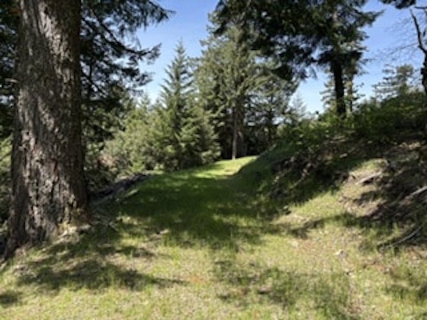Escape to your own sanctuary on 330 acres of timberland (4.5MBF - photo 8