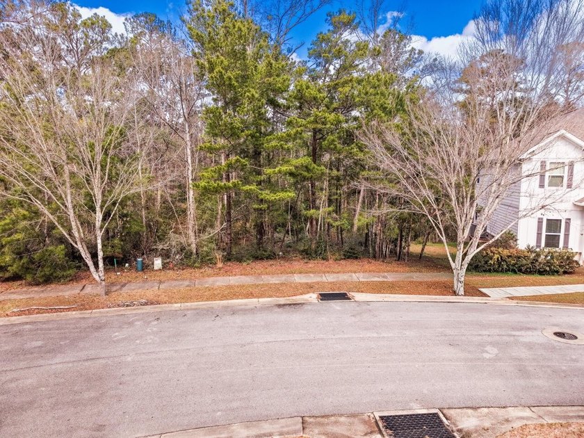 Prime corner lot in LaGrange Landing in the heart of Freeport! - photo 2