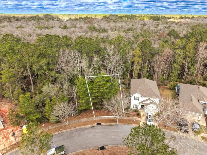 Prime corner lot in LaGrange Landing in the heart of Freeport! - photo 3