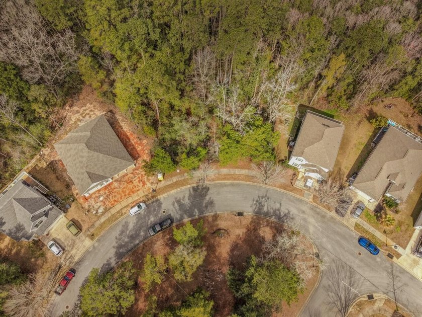Prime corner lot in LaGrange Landing in the heart of Freeport! - photo 4