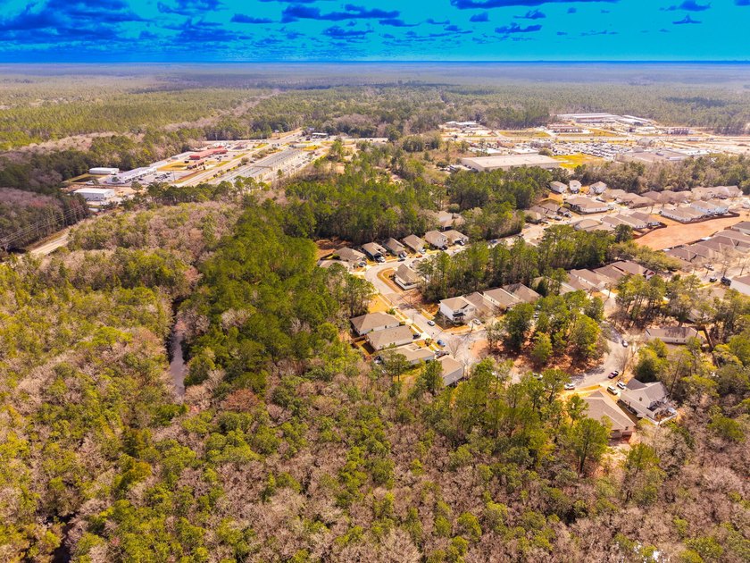 Prime corner lot in LaGrange Landing in the heart of Freeport! - photo 6