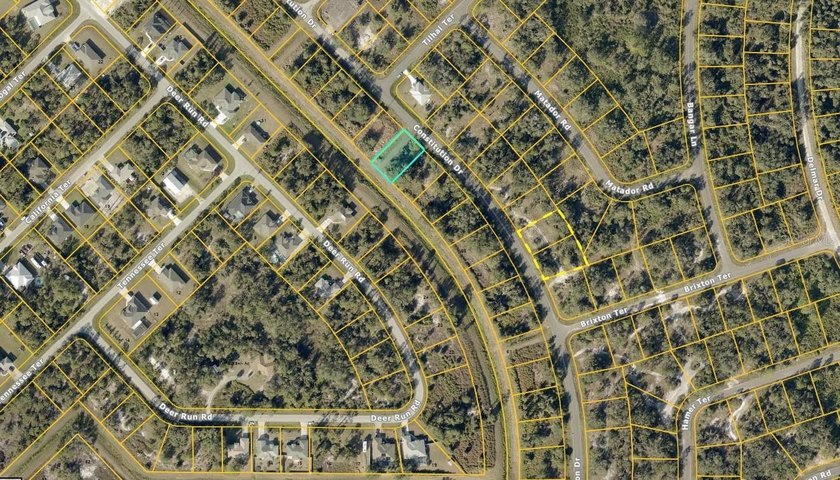Prime buildable lot in Port Charlotte Sub. This property - photo 2