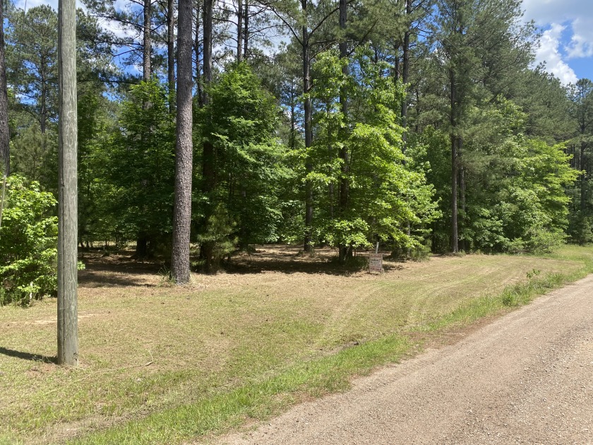 Lot 3 Unit 2 Lake Eddins, Pachuta, MS 39347, 4493966