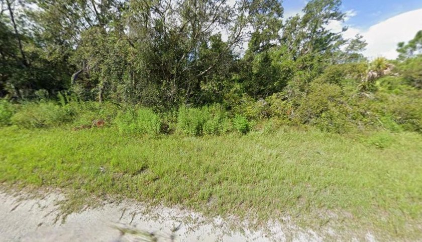 Prime buildable lot in Port Charlotte Sub. This property - photo 5