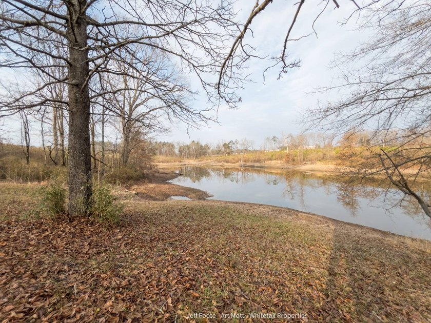 This 108+/- acre hunting and recreational property, located just - photo 11