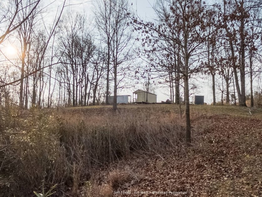 This 108+/- acre hunting and recreational property, located just - photo 14