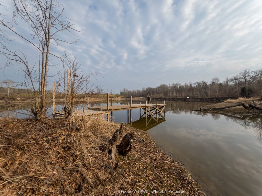 This 108+/- acre hunting and recreational property, located just - photo 15