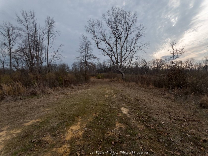 This 108+/- acre hunting and recreational property, located just - photo 26