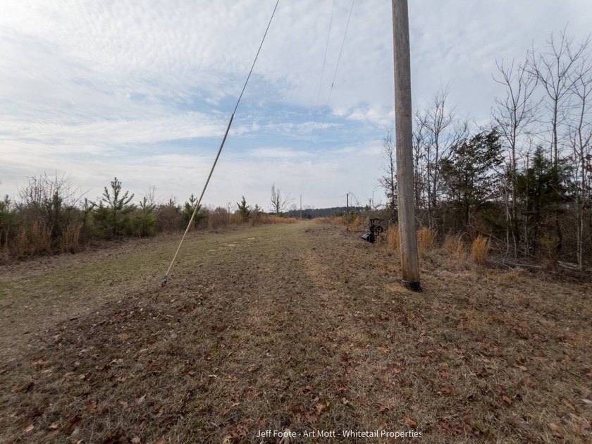 This 108+/- acre hunting and recreational property, located just - photo 27