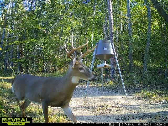 This 108+/- acre hunting and recreational property, located just - photo 29