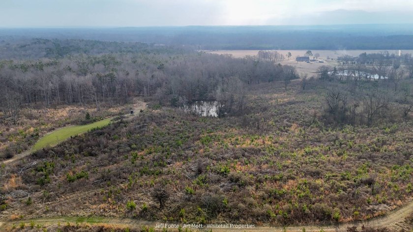 This 108+/- acre hunting and recreational property, located just - photo 38