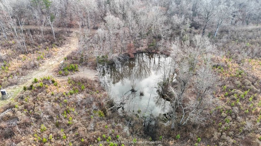 This 108+/- acre hunting and recreational property, located just - photo 39