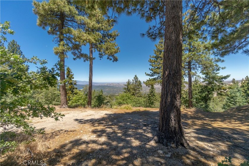33163 Holcomb Creek - photo 43