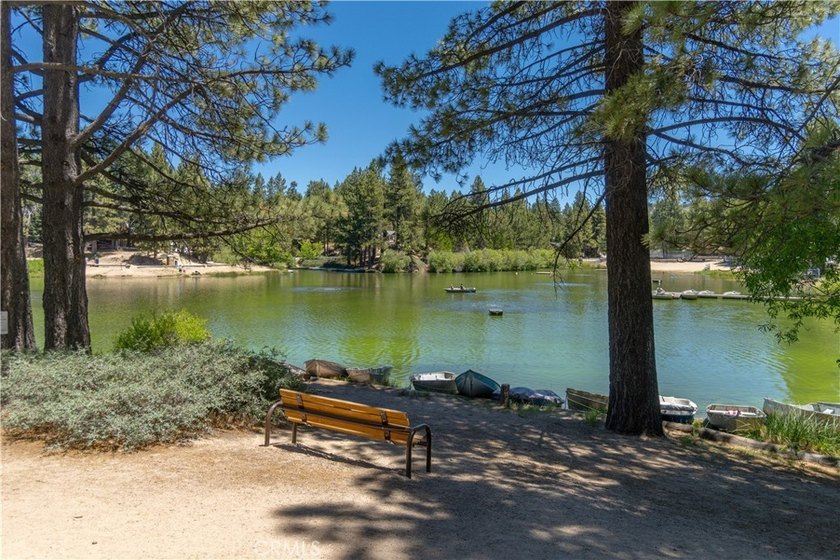 33163 Holcomb Creek - photo 44