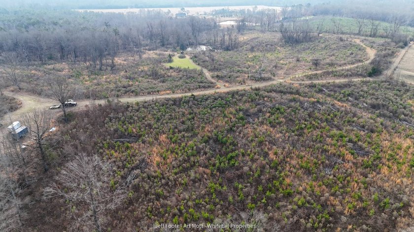 This 108+/- acre hunting and recreational property, located just - photo 49