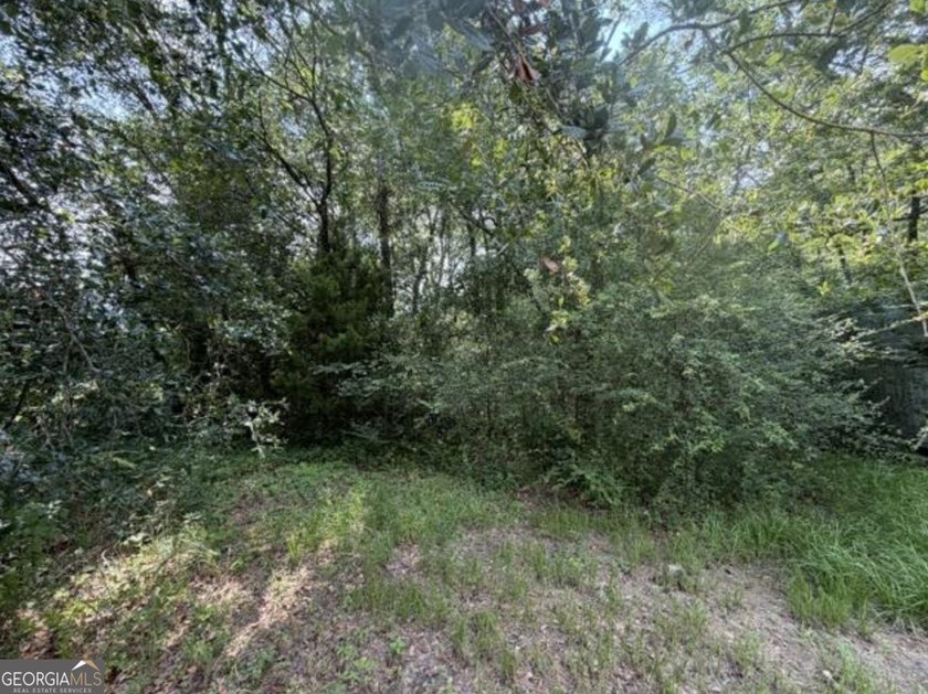 Lot at the end of Milton Avenue - photo 2
