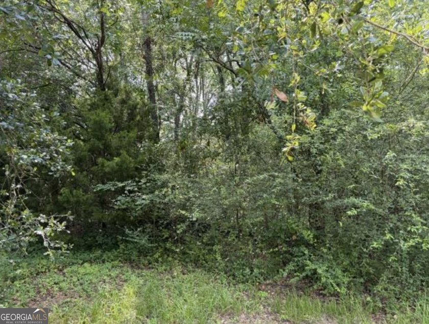 Lot at the end of Milton Avenue - photo 3