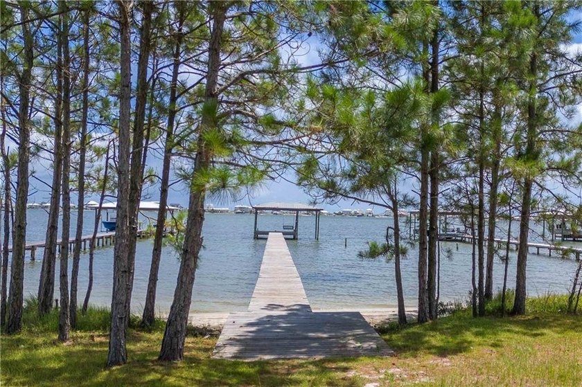 Welcome to Paradise on Little Lagoon! 14752 State Highway 180 - photo 50