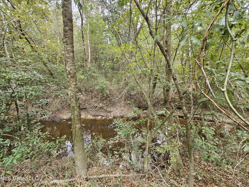 Discover a rare riverfront offering on the scenic Biloxi River - photo 9