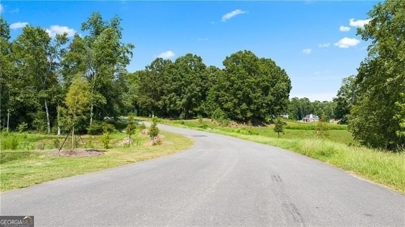 This inspiring 7.10-acre interior estate lot sits within an - photo 9