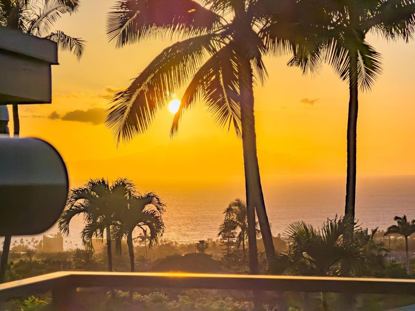 Welcome to the Resort in Maui Meadows - an extraordinary private - photo 49