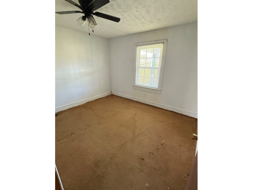 Cute Cottage on 4.59 ac with tons of potential for the buyer - photo 20
