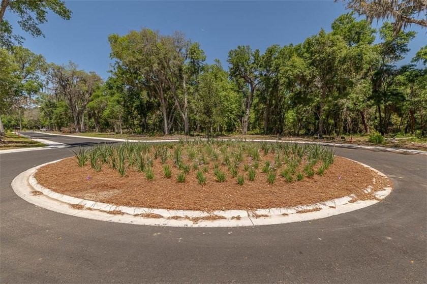 Welcome to The Canopy, a brand-new 25 lot development on - photo 26