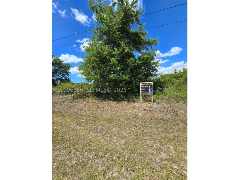 Beautiful residential lot featuring 0.24 acres (10,375 sqft) - photo 3