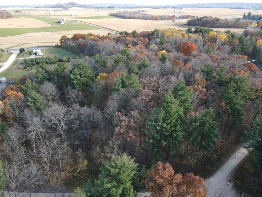 Set in the Majestic Woods development, this gorgeous heavily - photo 3