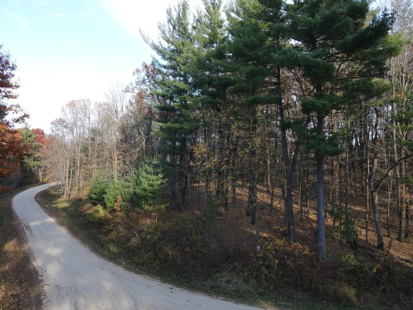 Set in the Majestic Woods development, this gorgeous heavily - photo 5