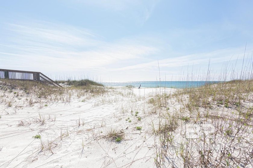 Welcome to Shore Thang, a turnkey Gulf-front retreat offering - photo 33