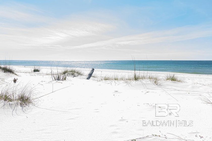Welcome to Shore Thang, a turnkey Gulf-front retreat offering - photo 34