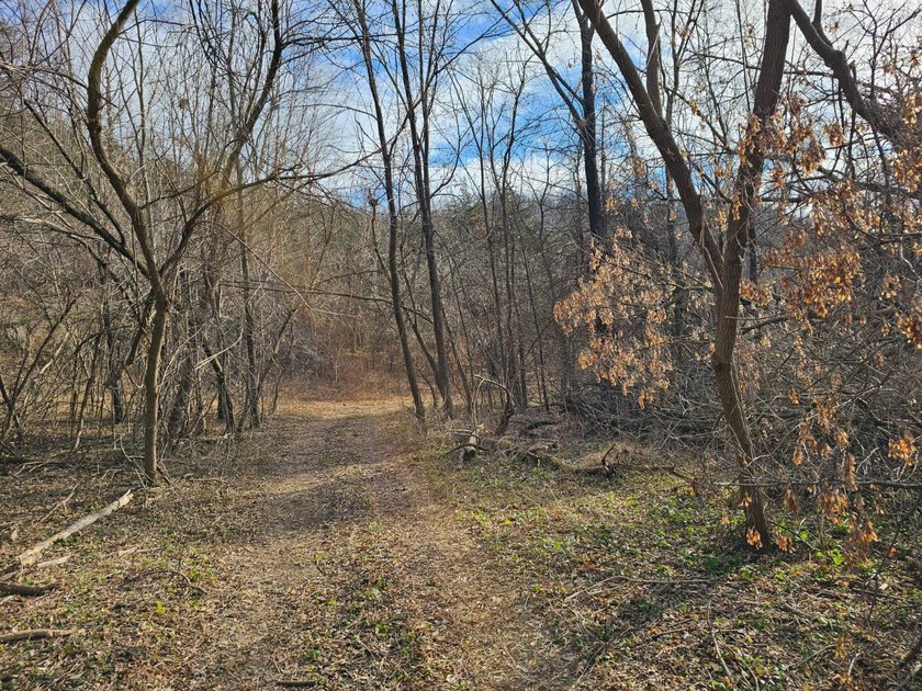 This beautiful 38 acres offers great seclusion, privacy and - photo 3